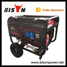 BISON CHINA TAIZHOU honda 3kw generator